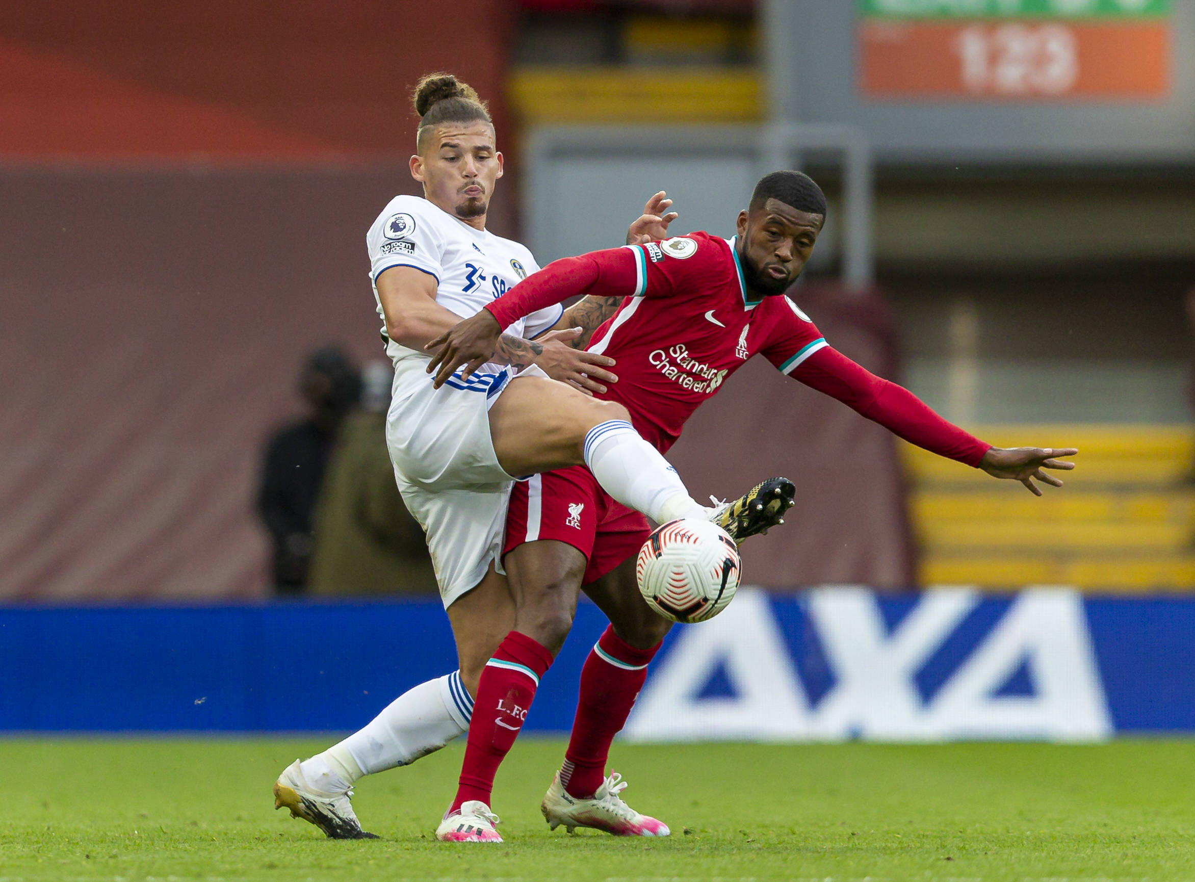 性表现到极 性表现到极